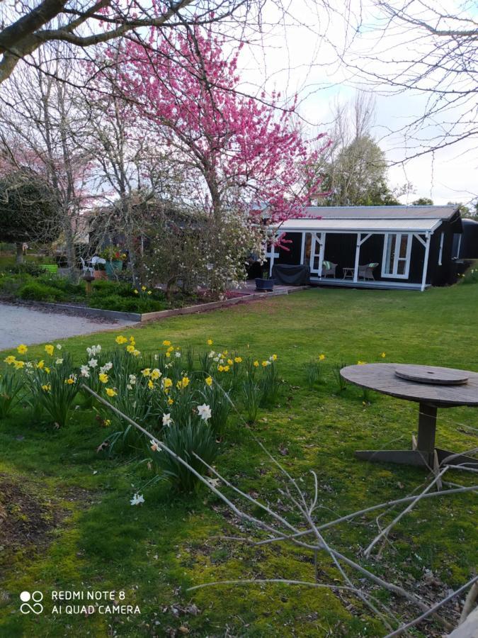 The Homestead Taupo Exterior photo